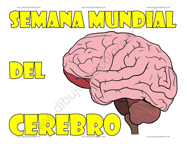 Semana Mundial del Cerebro dibujo a color y para colorear
